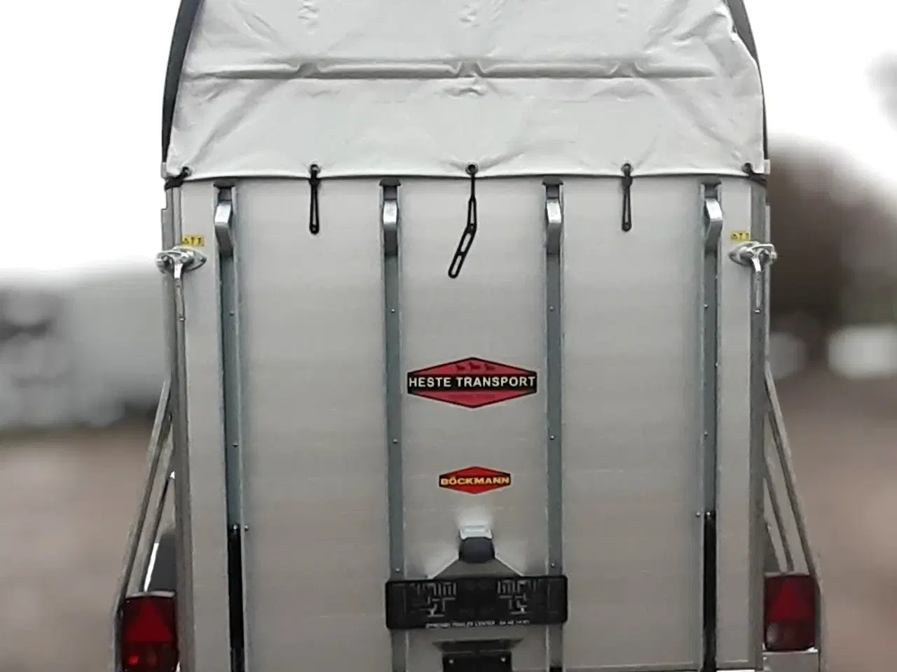 Billede 3 - Böckmann Champion Esprit (Udstilling)