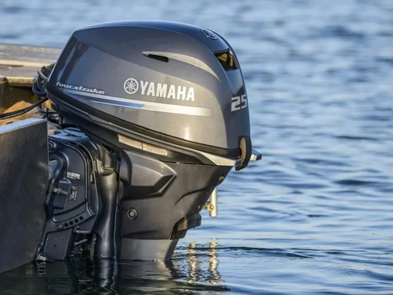 Billede 4 - Yamaha F25GETS/L