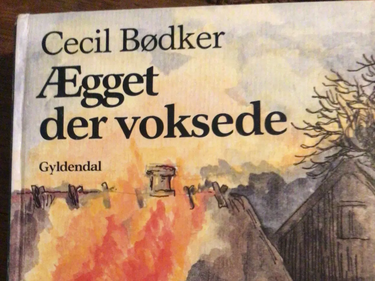 Billede 7 - Cecil Bødker : Silas - se billeder