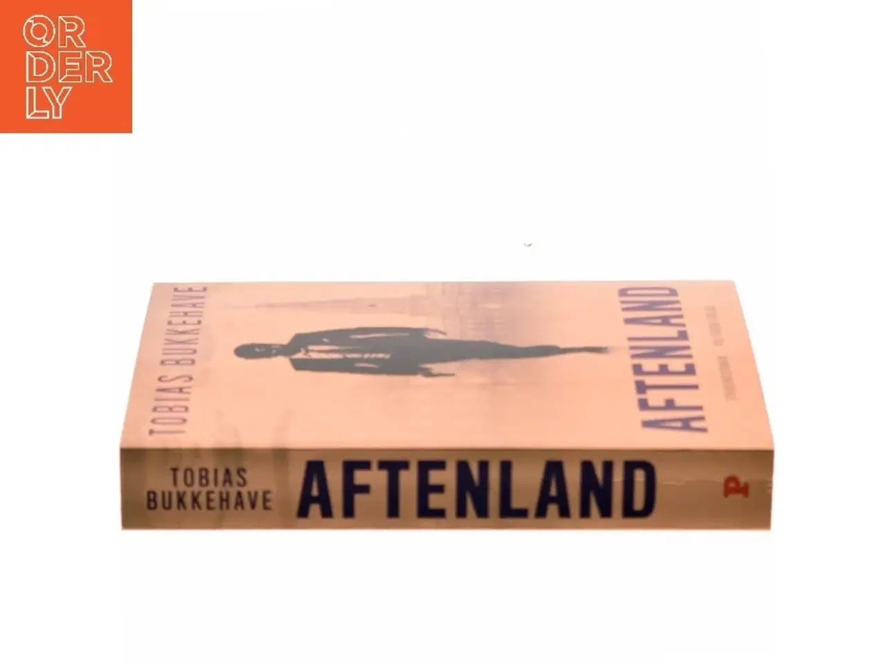 Billede 2 - Aftenland : spændingsroman af Tobias Bukkehave (f. 1980) (Bog)