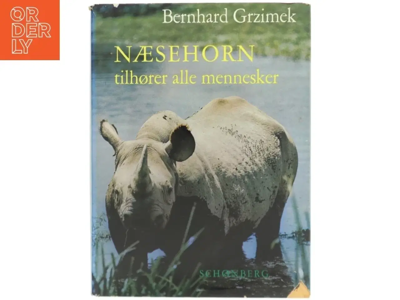 Billede 1 - Næsehorn tilhører alle mennesker