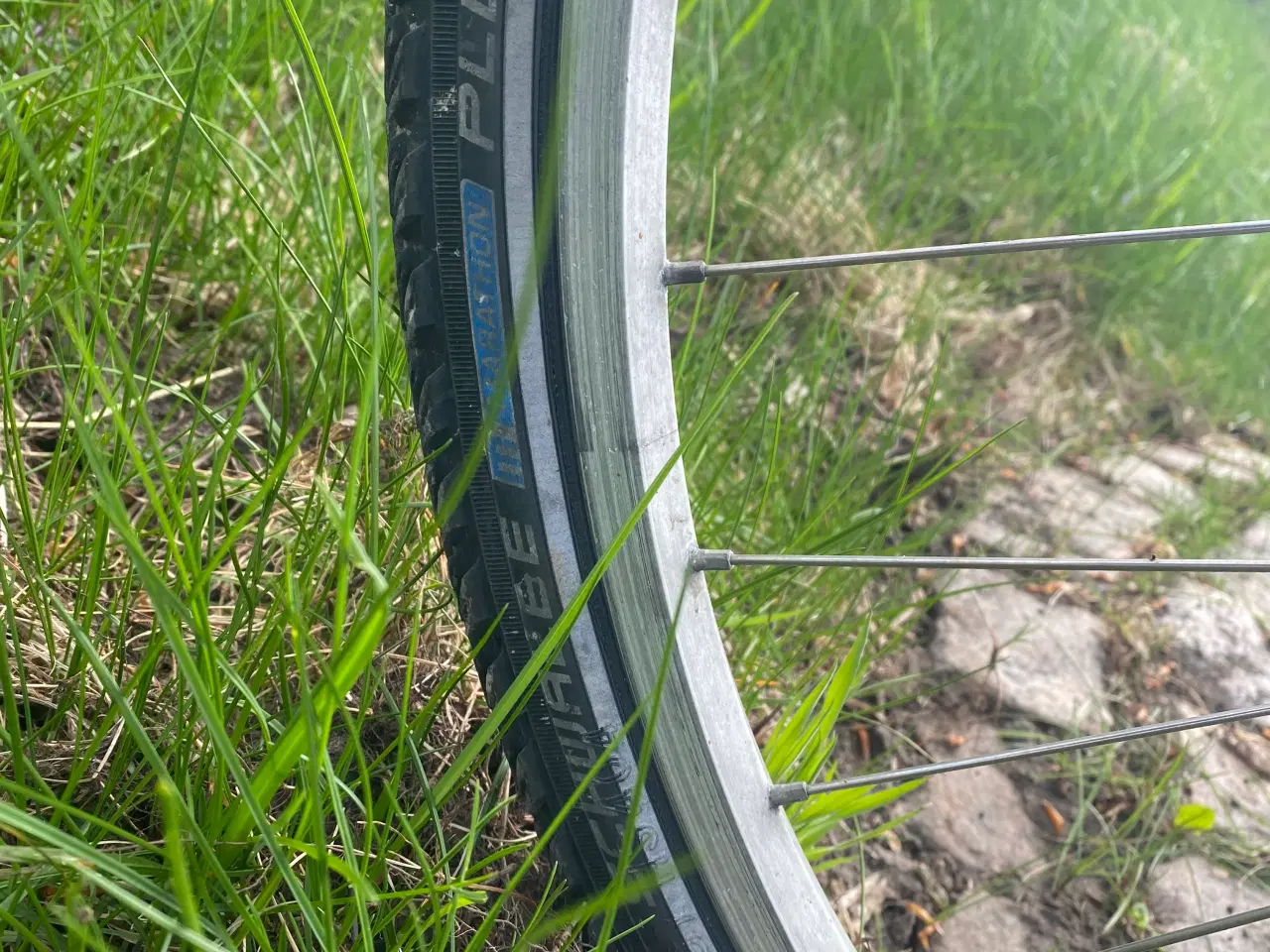 Billede 2 - Damecykel 28 Centurion med Cykelkurv før 165-180cm