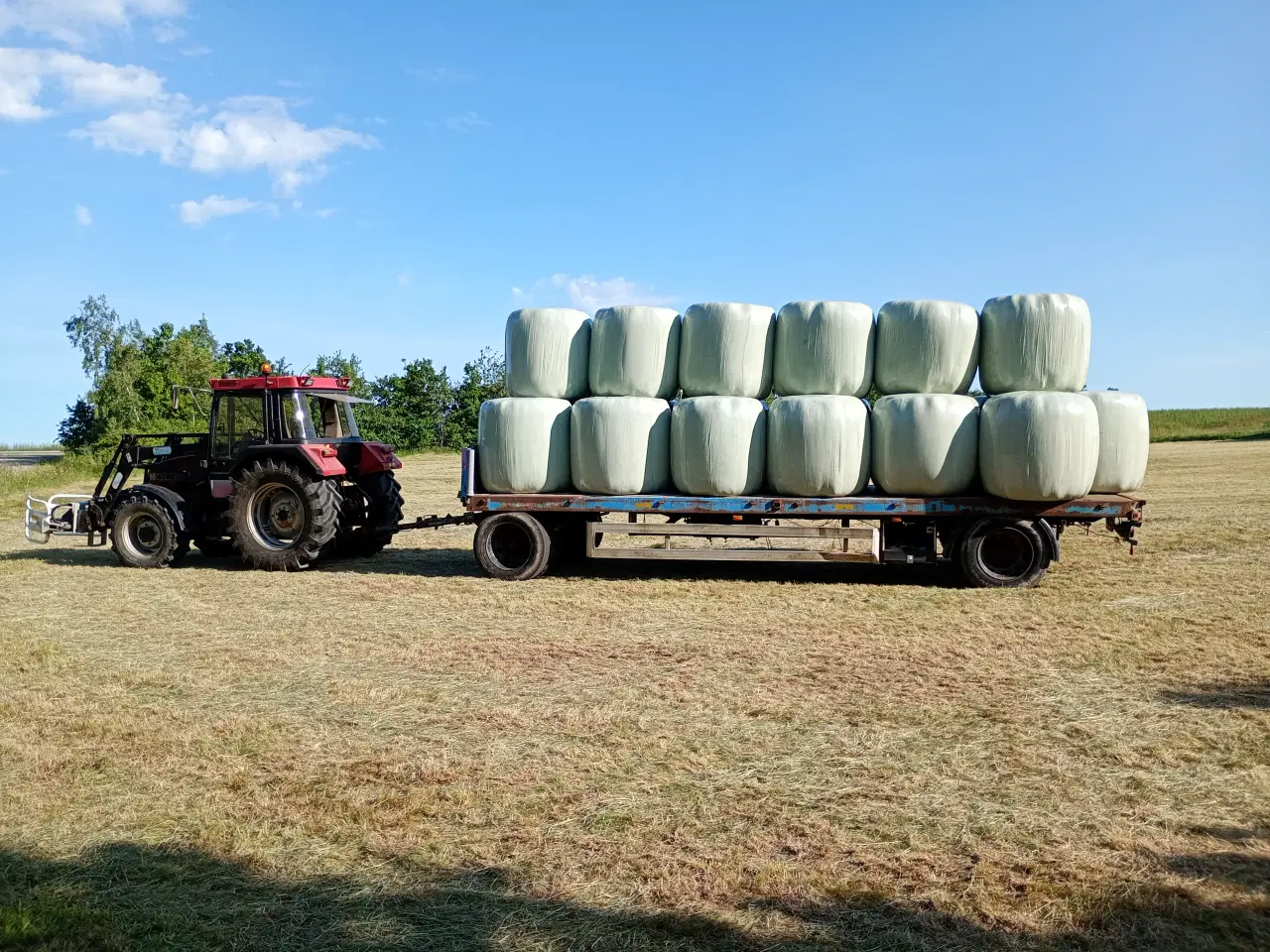 Billede 3 - Wrap hø græs