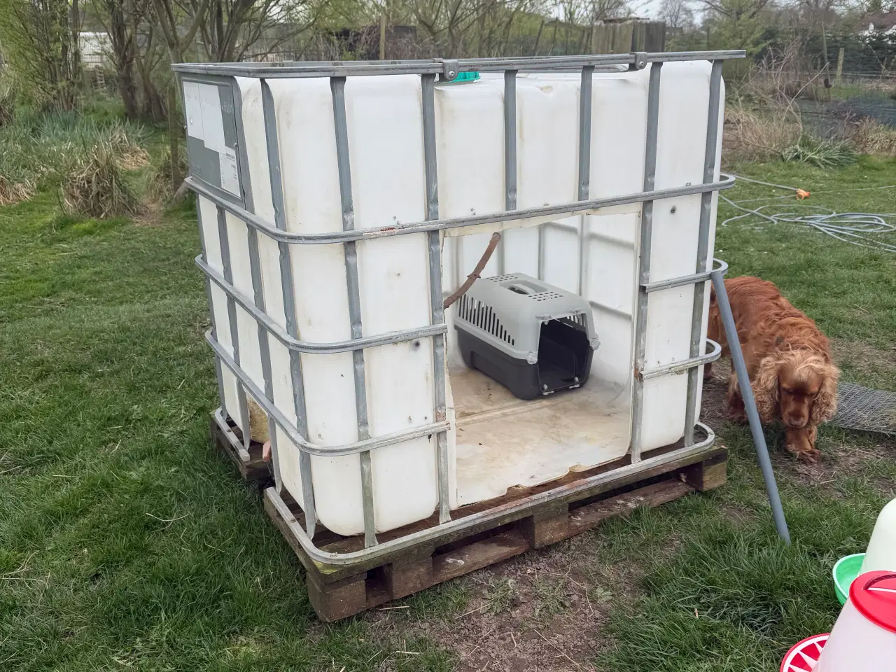 Billede 3 - Hønsehus af IBC Tank