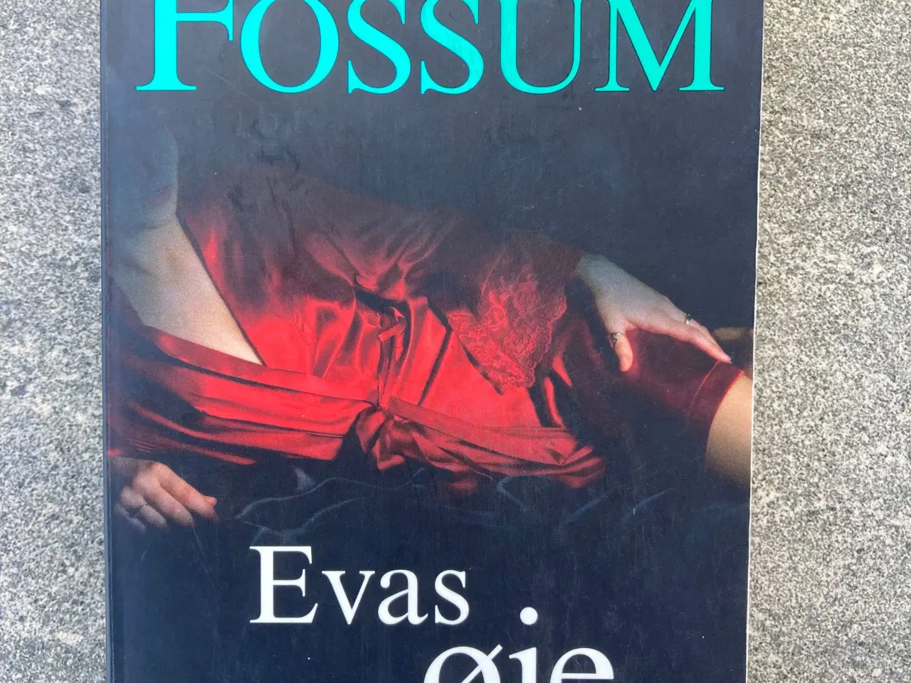 Billede 1 - Karin Fossum, Evas øje