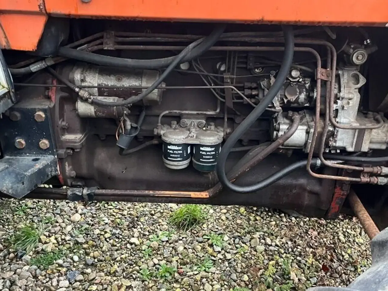 Billede 5 - Fiat 1100