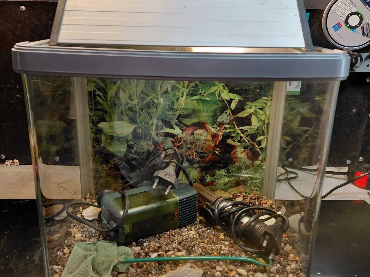 Billede 1 - Akvarier 20L 