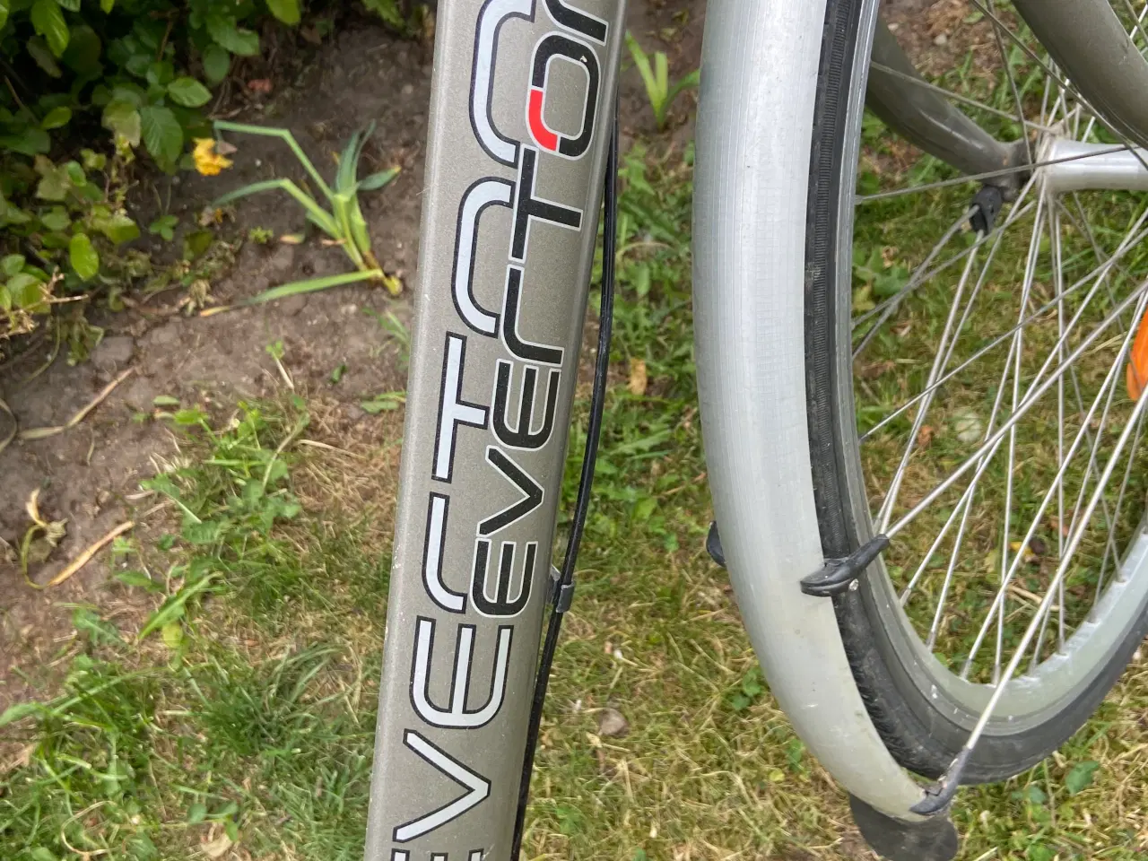Billede 2 - Everton CityLimit Herre cykel