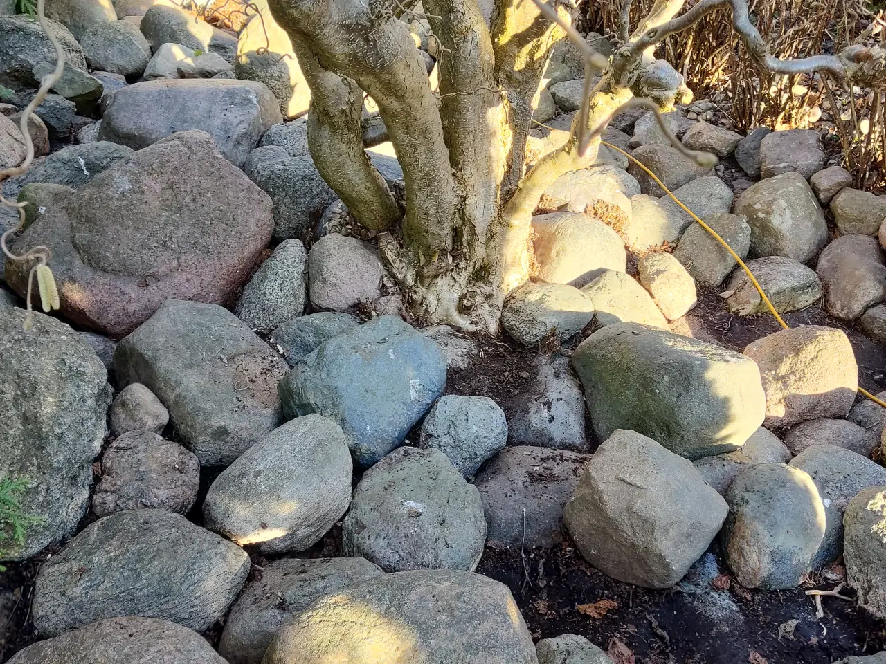 Billede 4 - 100 sten