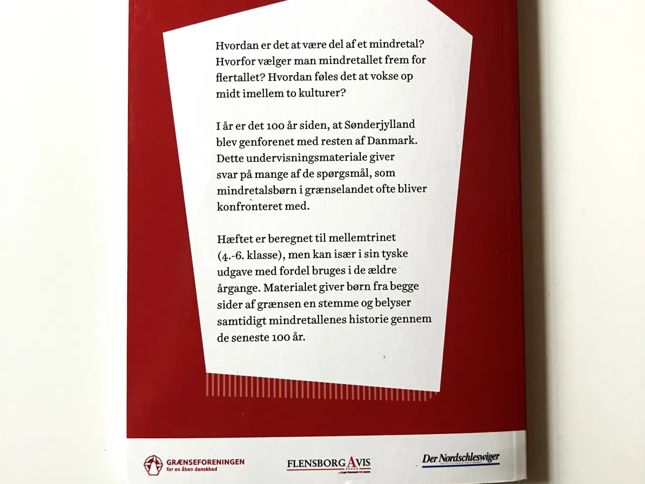 Billede 2 - Mojn moin - mindretalsbørn i grænselandet