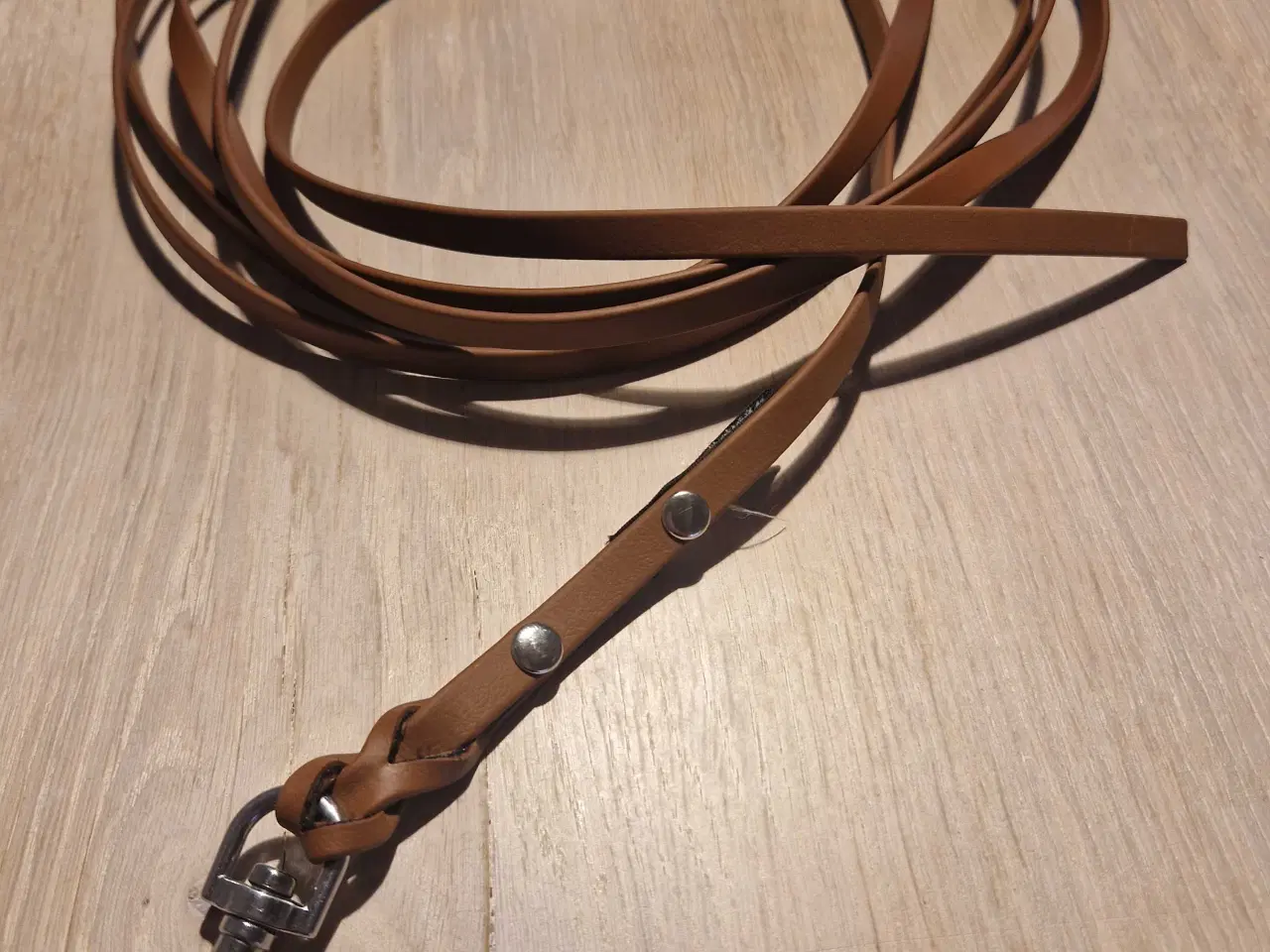 Billede 1 - Nosework og/eller spor line