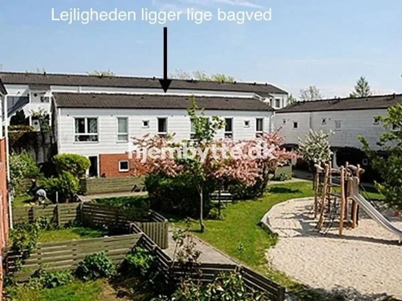 Billede 8 - Hjembytte - Solsikkemarken