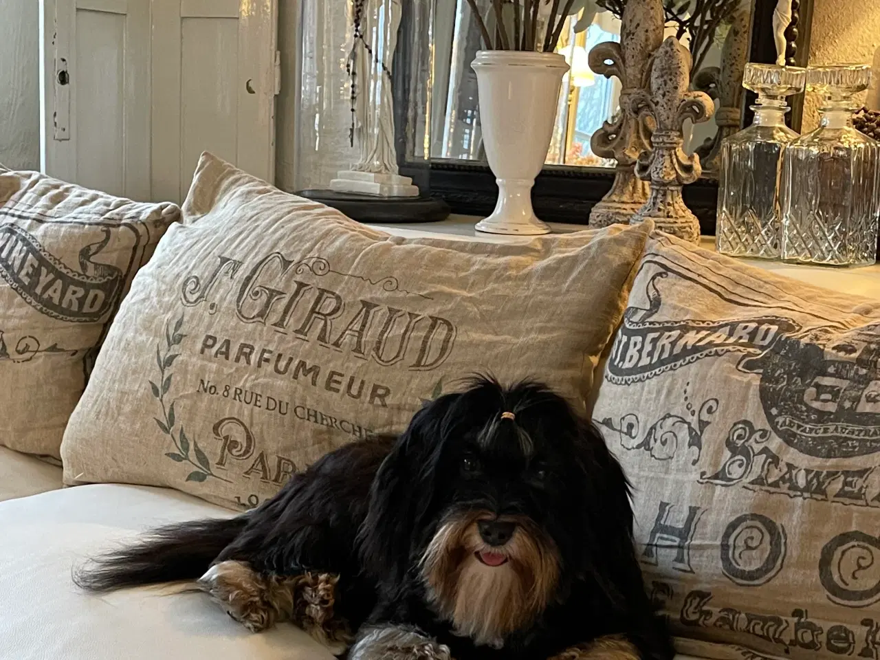 Billede 5 - 💕Skal Wilma være din 💕