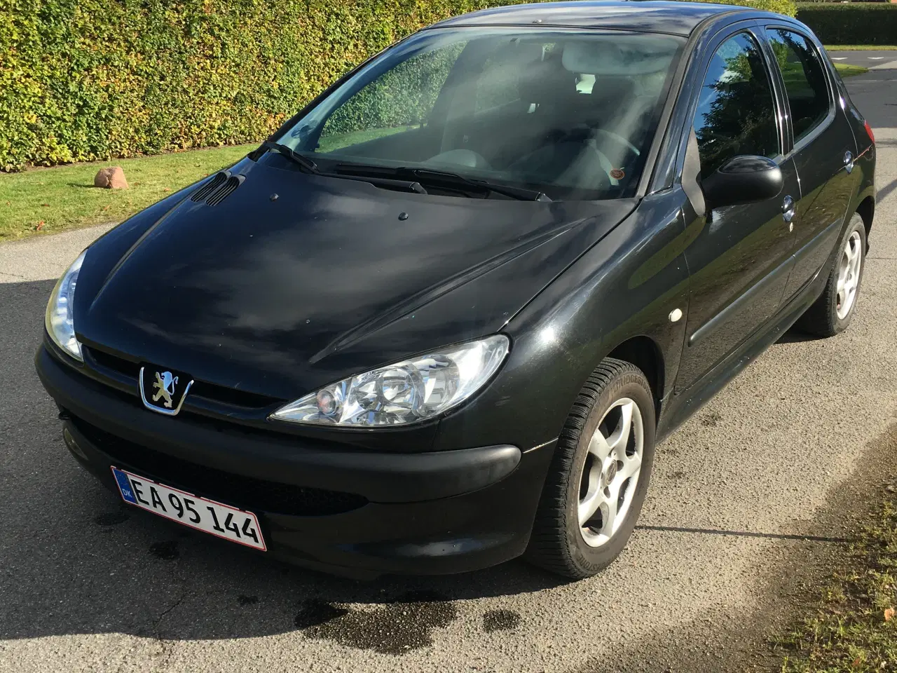 Billede 4 - Peugeot 206