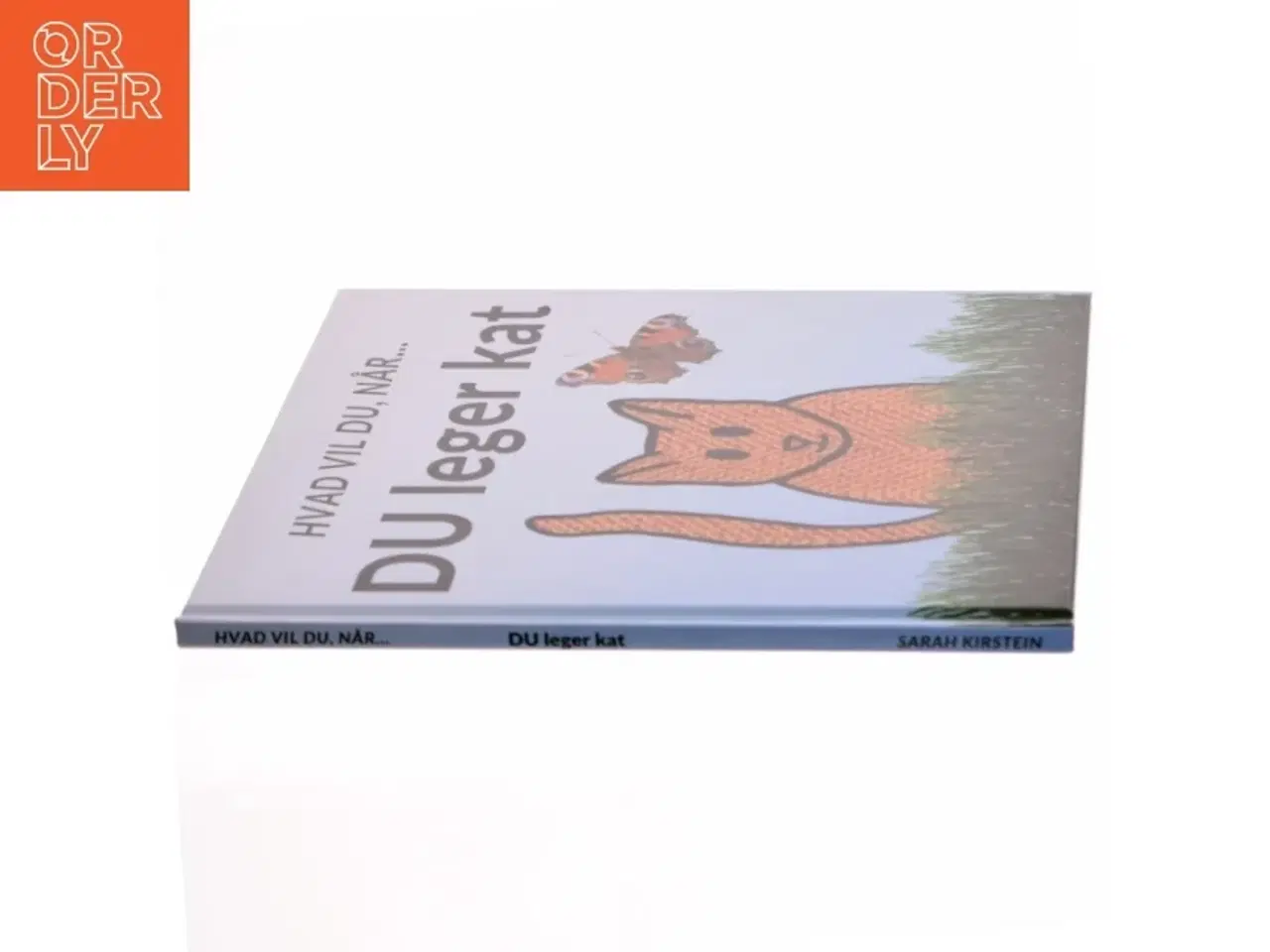 Billede 2 - Hvad vil du, når DU leger kat - af Sarah Kirstein