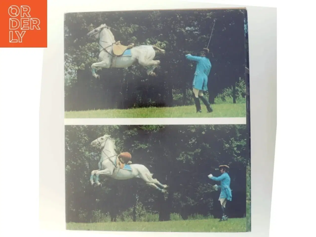 Billede 3 - Hestens forunderlige verden af Ursula Bruns (Bog)