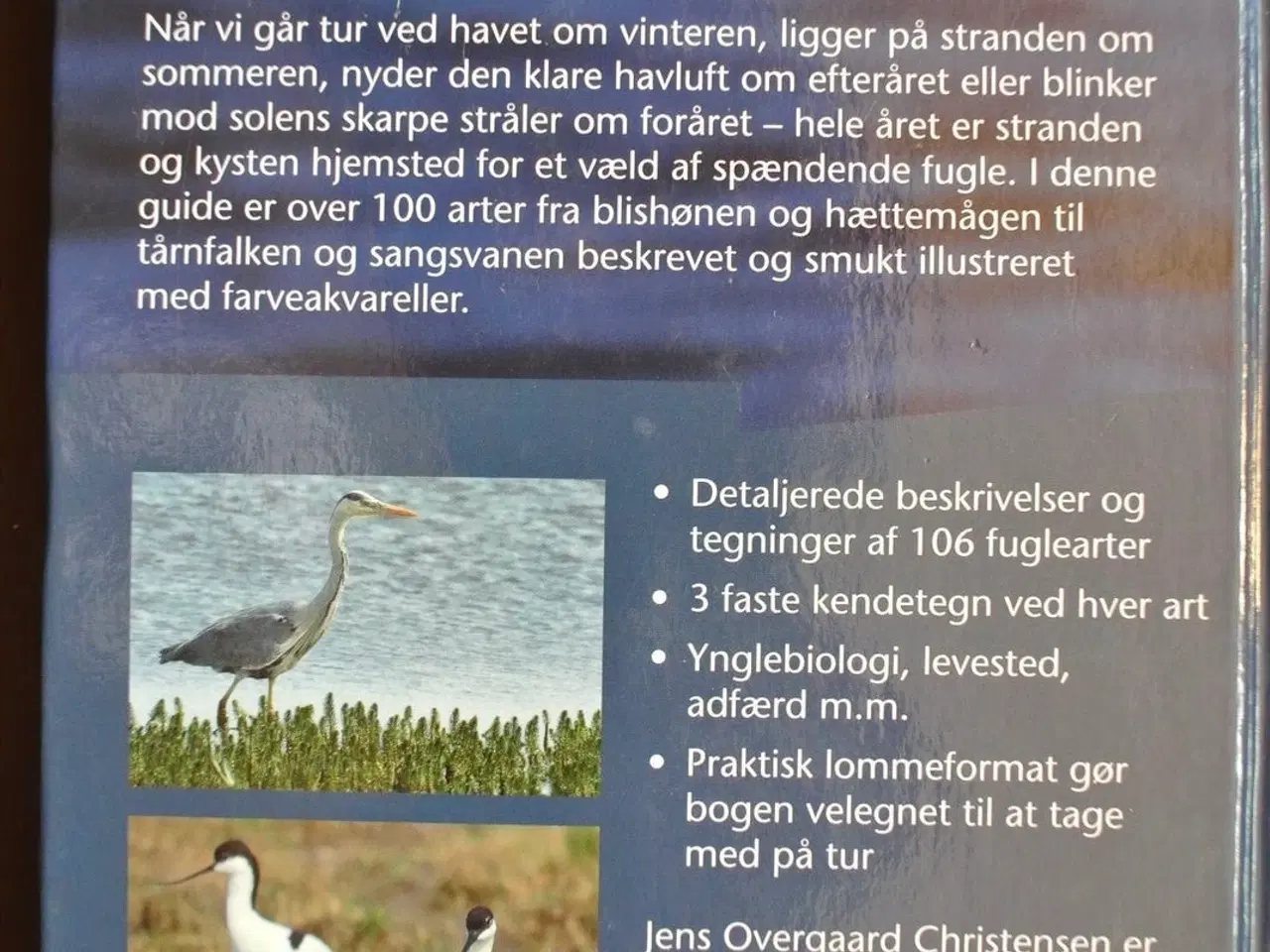 Billede 3 - fuglene ved strand og kyst, Af jens overgaard chri