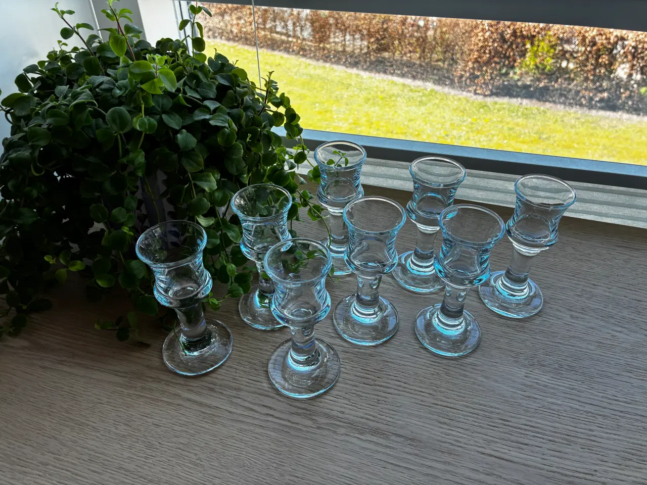 Billede 2 - Holmegaard SKIBSGLAS - snapseglas - 8 stk.