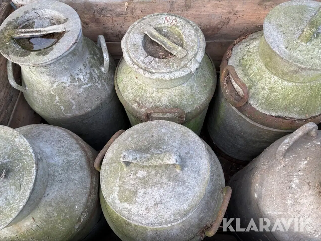 Billede 9 - Mælkejunger 12 styk samlet lot