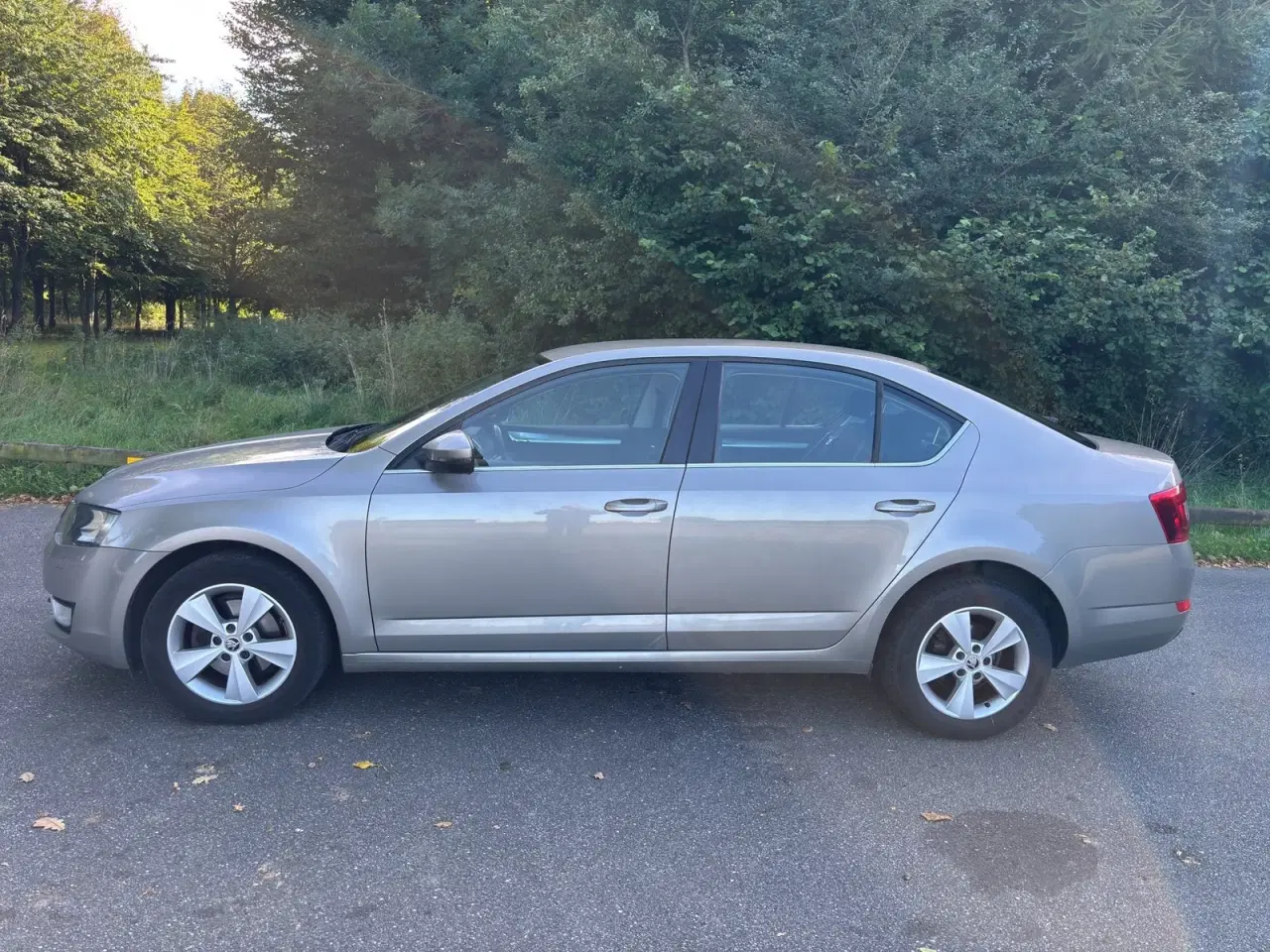 Billede 8 - Skoda Octavia 1,4 TSi 140 Elegance DSG
