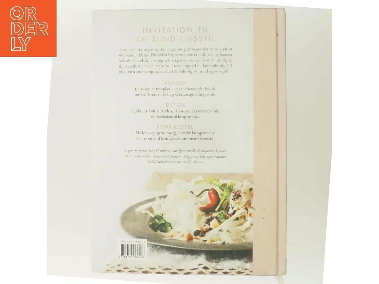 Billede 3 - Retrokuren : råkost, detox & forkælelse af Susy Grundahl (Bog)