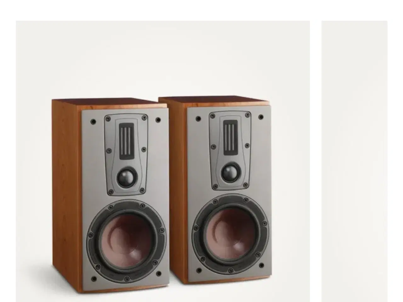 Billede 11 - Dali Mentor 1 Væg Højttaler med stor Lyd