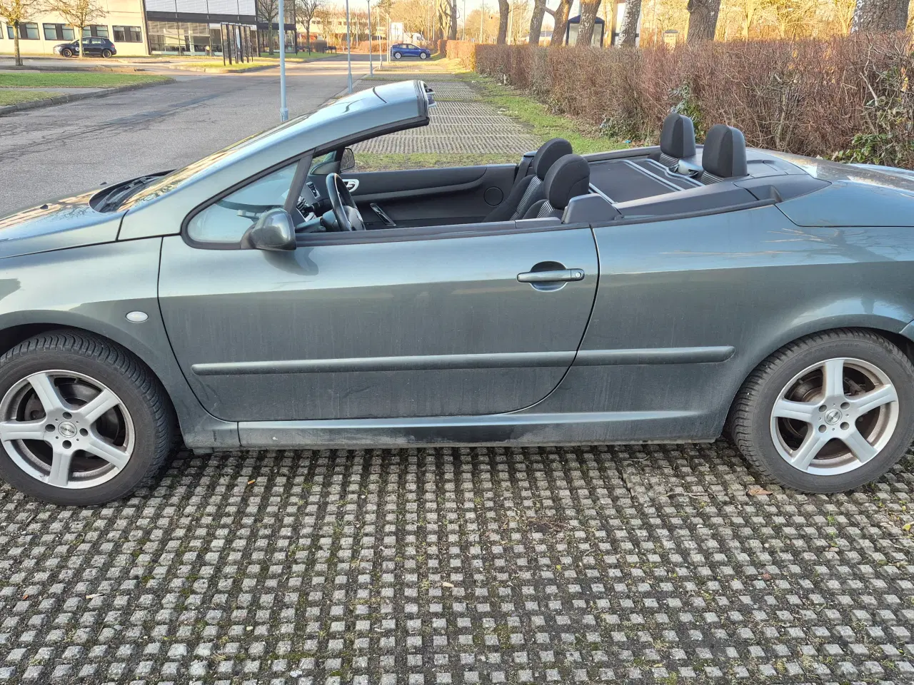 Billede 7 - Peugeot 307 Cabriolet