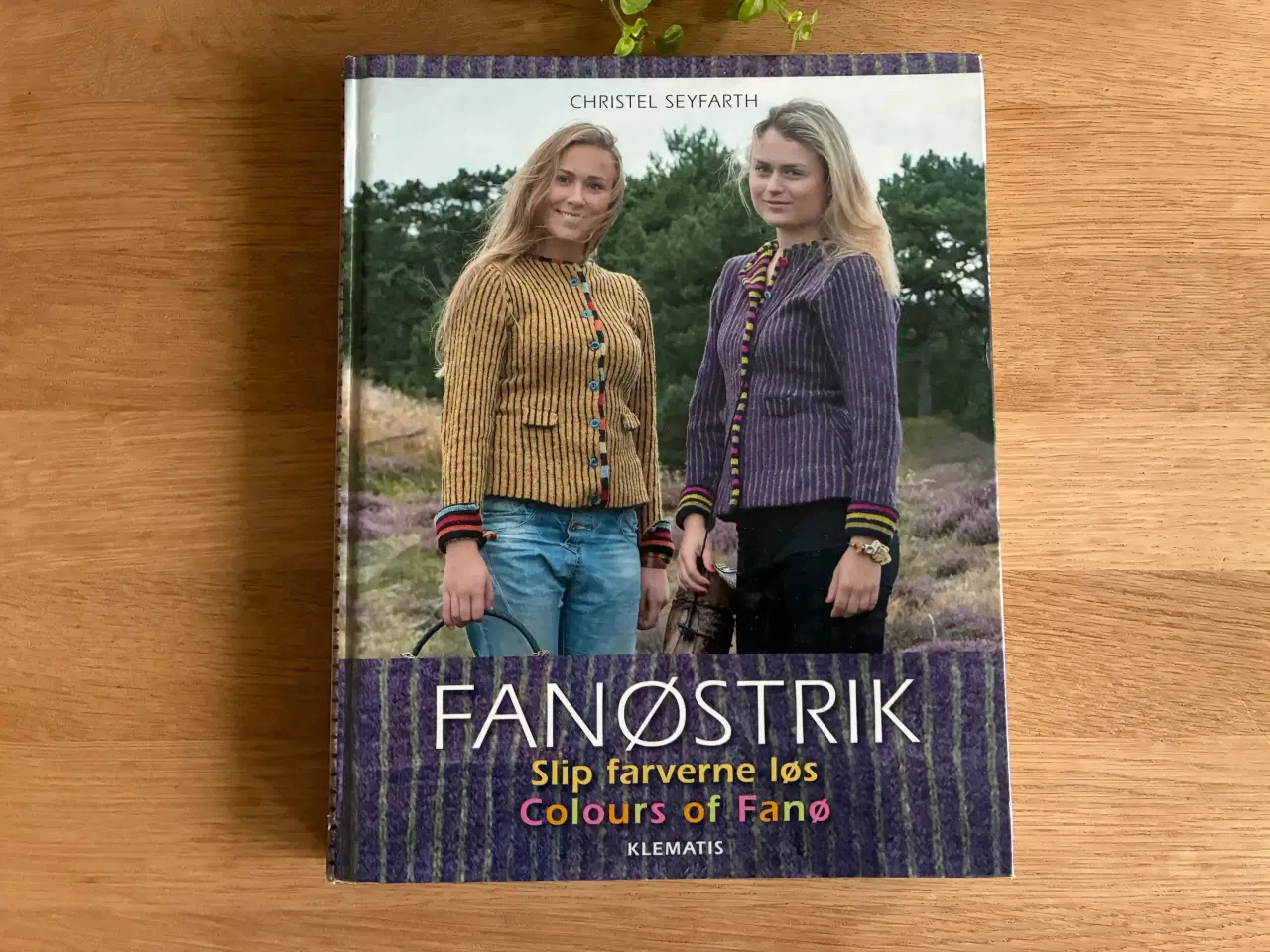 Billede 1 - Fanøstrik -Slip farverne løs af Christel Seyfarth