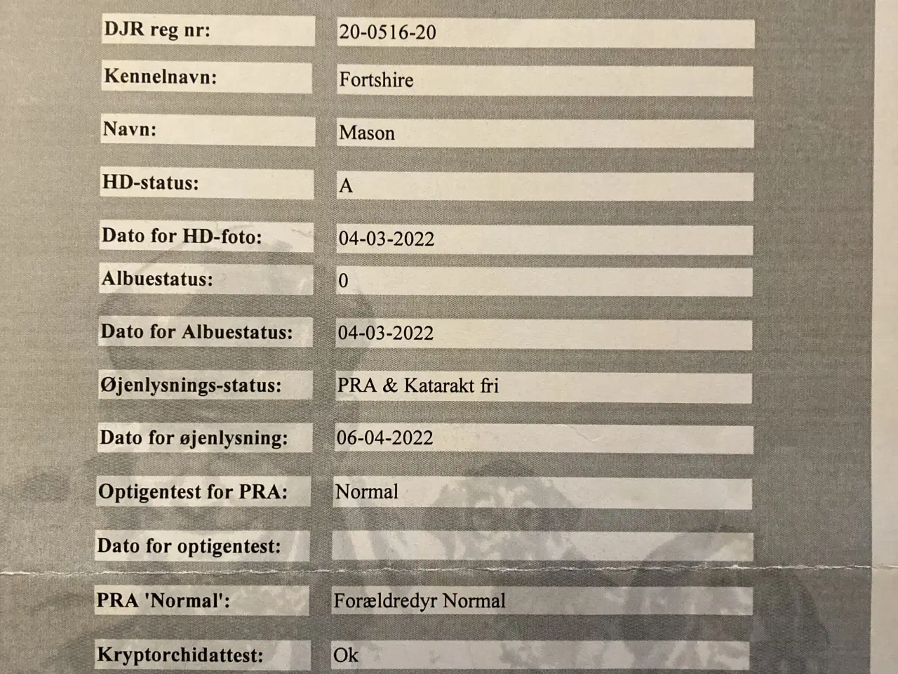 Billede 5 - Labrador til avlstjenste