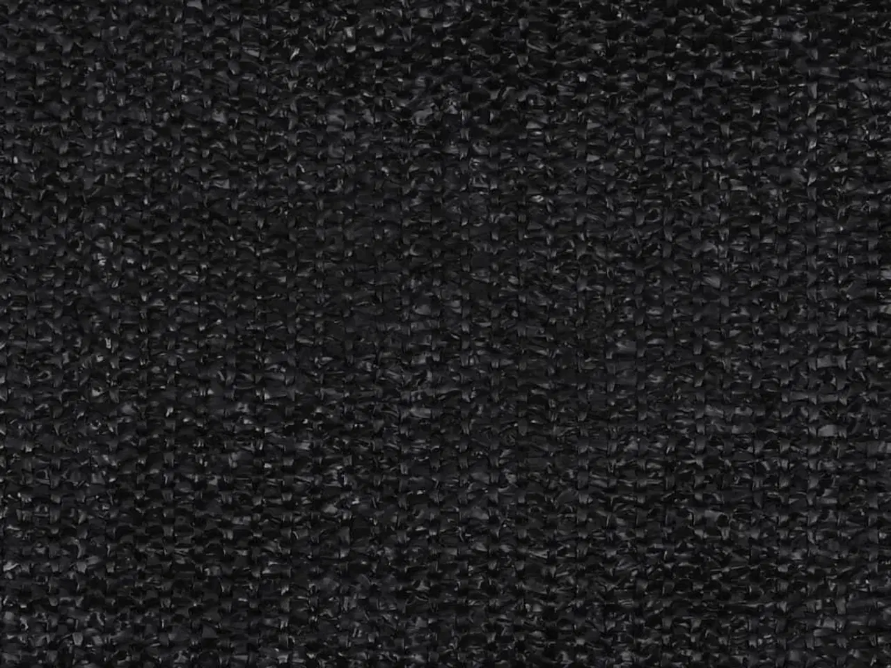 Billede 2 - Telttæppe 300x500 cm sort