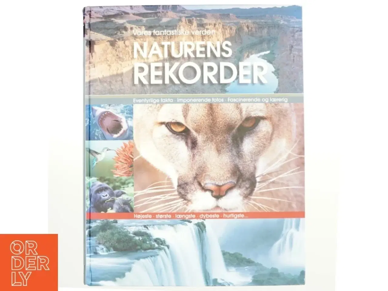Billede 1 - Naturens rekorder : terra maxima : vores fantastiske verden (Bog)