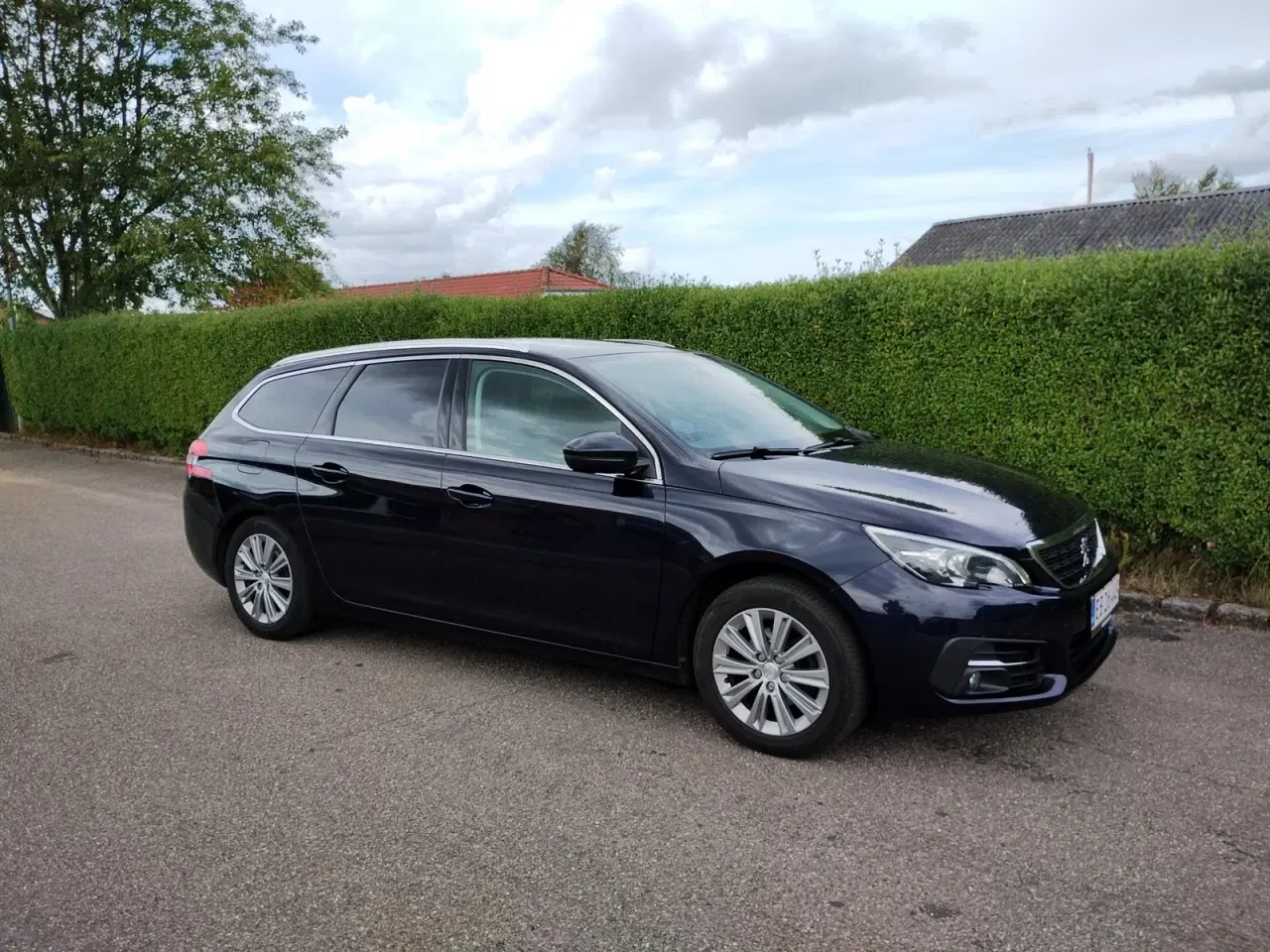 Billede 3 - Peugeot 308 1,5 BlueHDi 130 Selection Sky EAT8