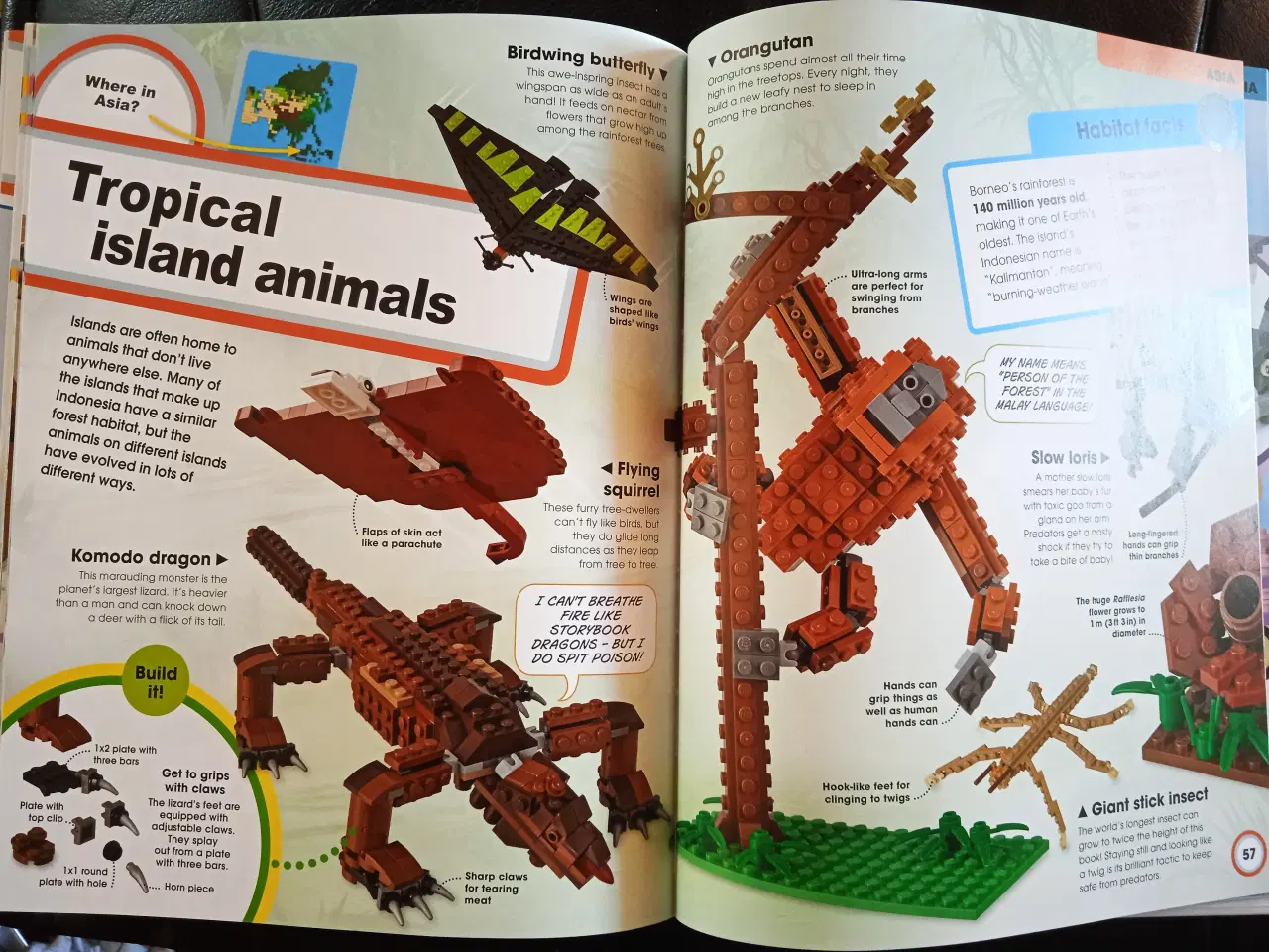 Billede 3 - LEGO Animal Atlas