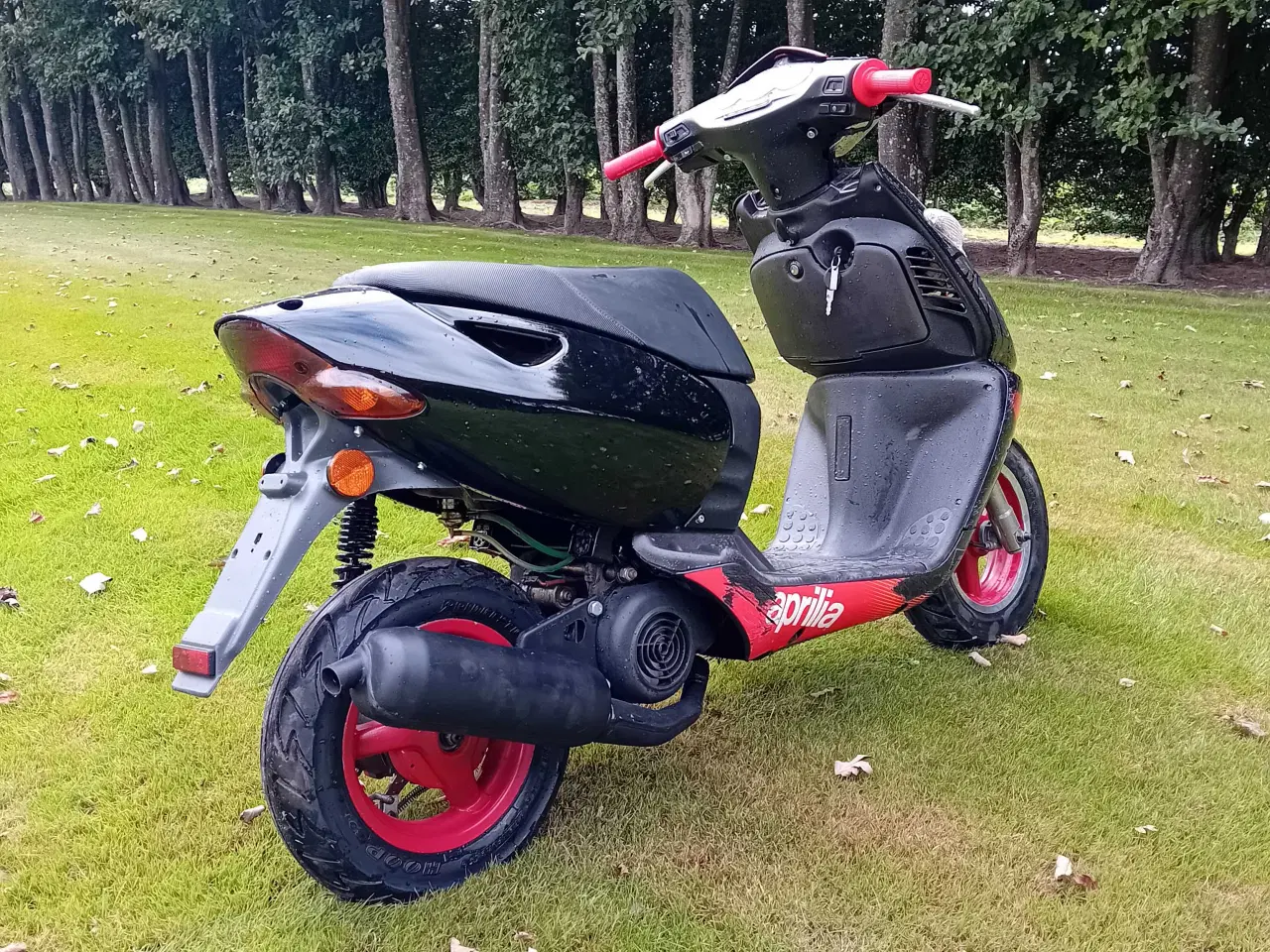 Billede 4 - Aprilia sonic