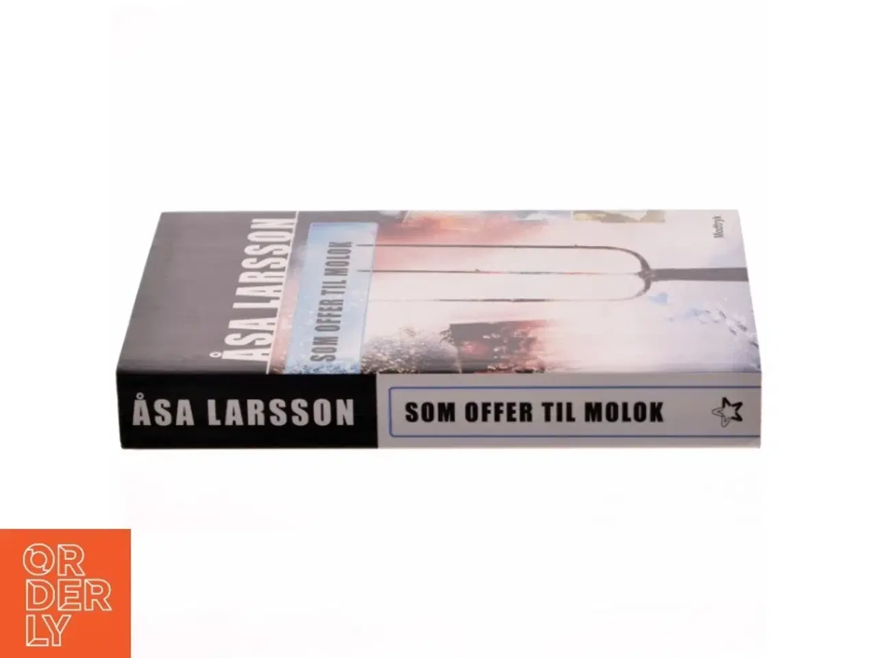 Billede 2 - 'Som offer til Molok' af Åsa Larsson (bog)