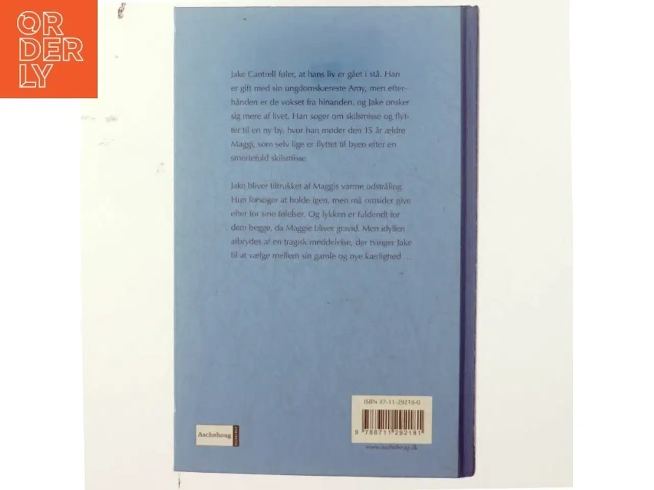Billede 3 - Barbara Taylor Bradford, et nyt liv
