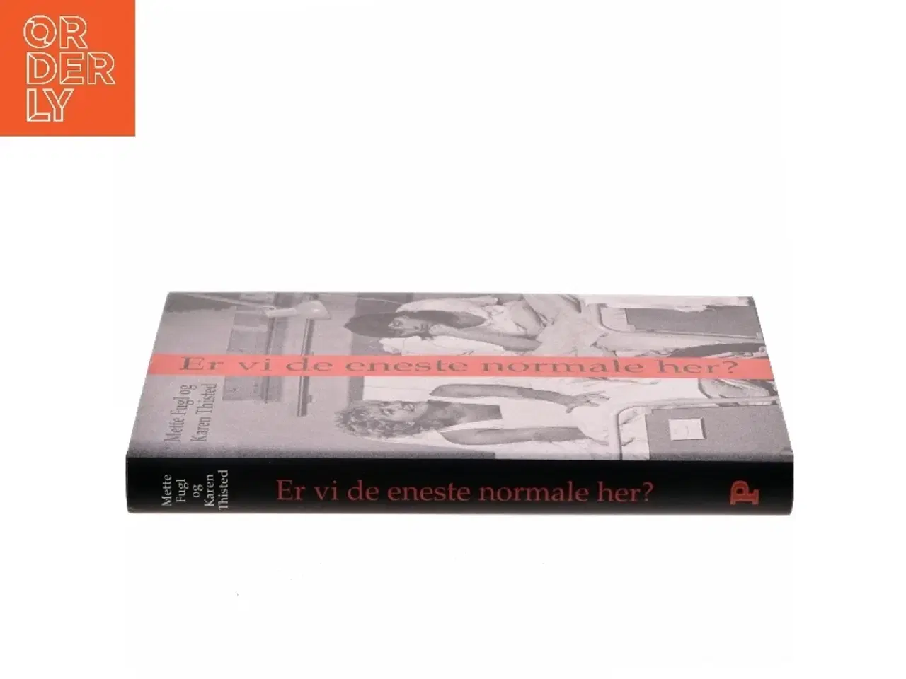 Billede 2 - Er vi de eneste normale her? : noter, anekdoter og samtaler om visse erindringer (Bog)