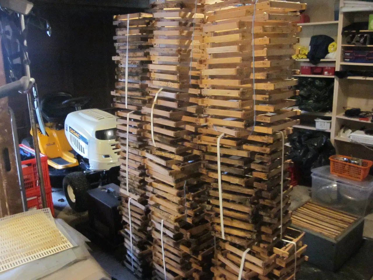 Billede 9 - Stor komplet bigård- lavnormal