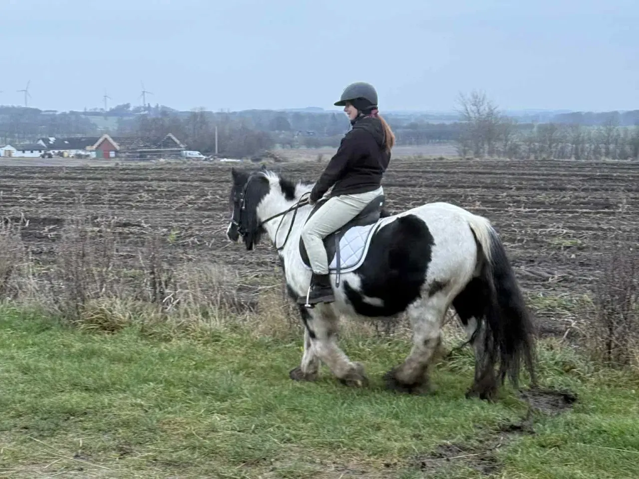 Billede 1 - Irish Cop 