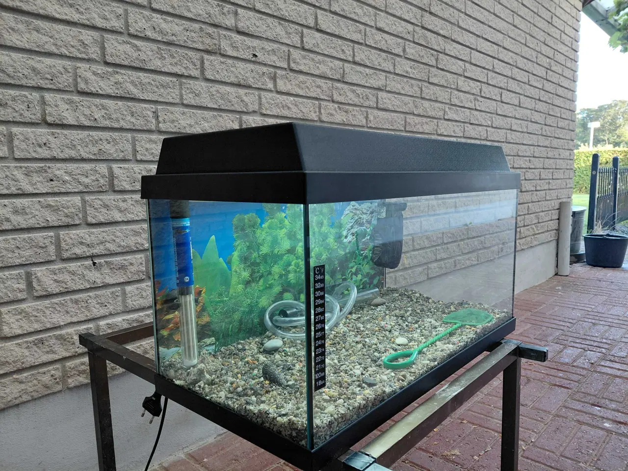 Billede 4 - Akvarier 54L 
