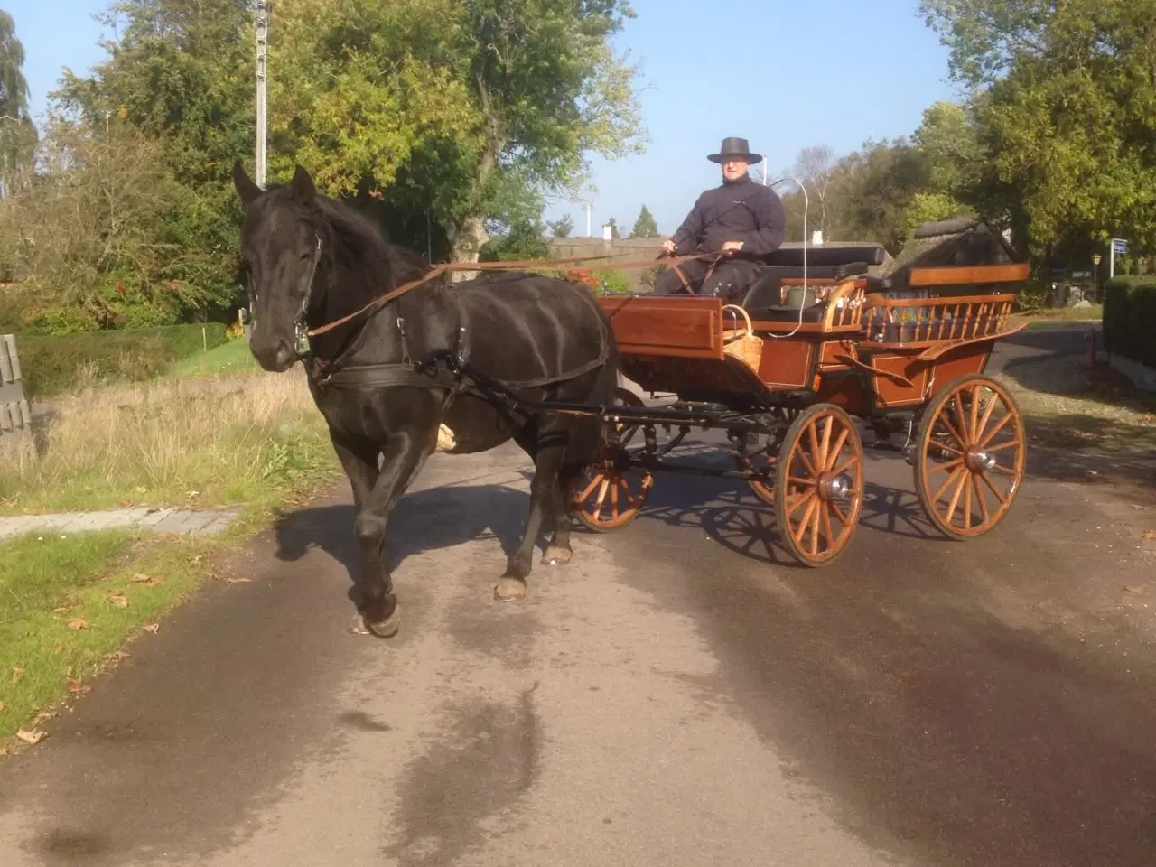 Billede 1 - Hestevogn , wagonette