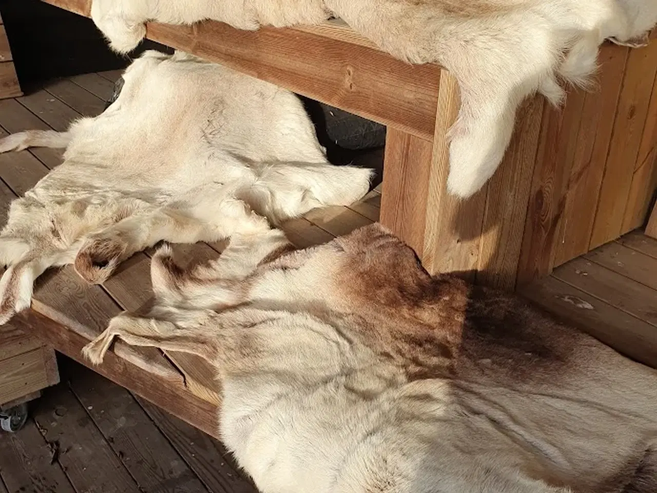 Billede 4 - Lækre rensdyrskind - varmt ligge-sidde underlag.