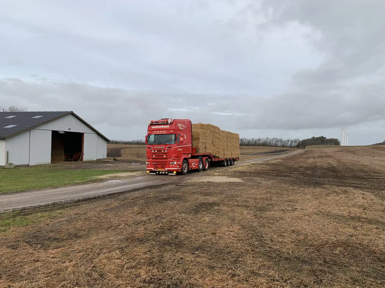 Billede 2 - Vårbyg halm i minibigballer 80x90x240