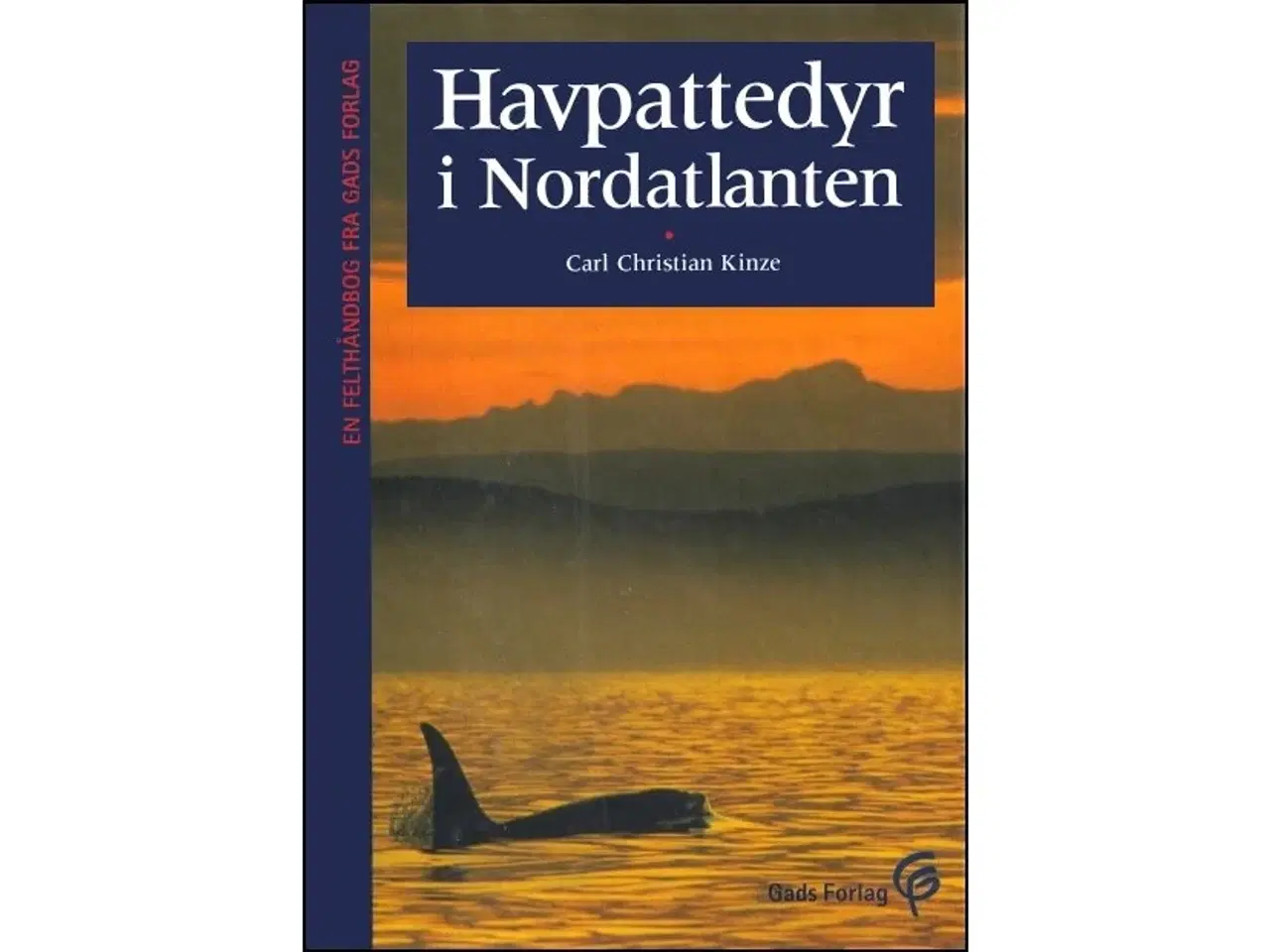 Billede 1 - Havpattedyr i Nordatlanten