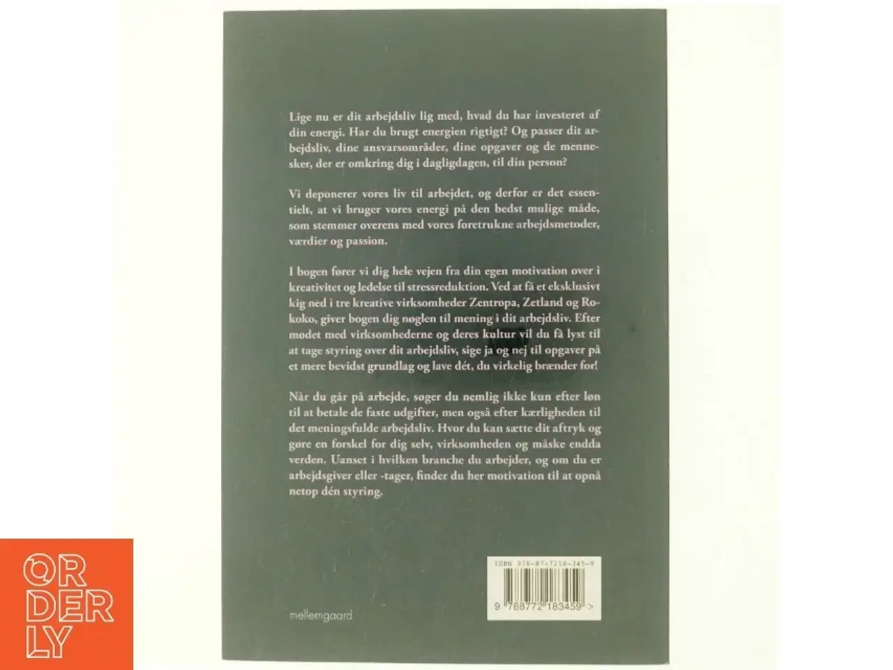 Billede 3 - Det giver mening at elske sit arbejdsliv af Heidi Philipsen (f. 1971-03-18) (Bog)