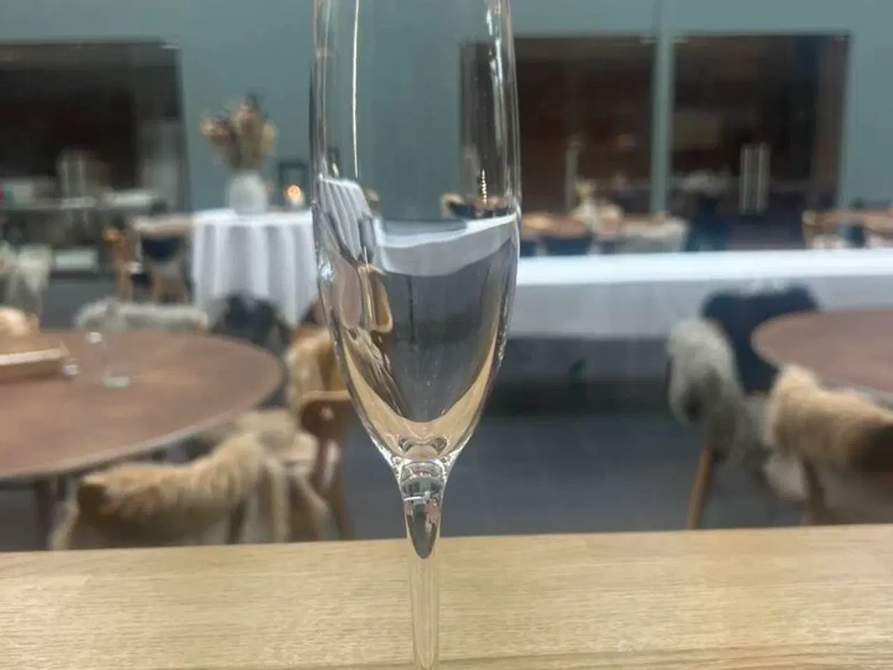 Billede 1 - 100 stk. Champagneglas - Zenz Penelope - 17 cl