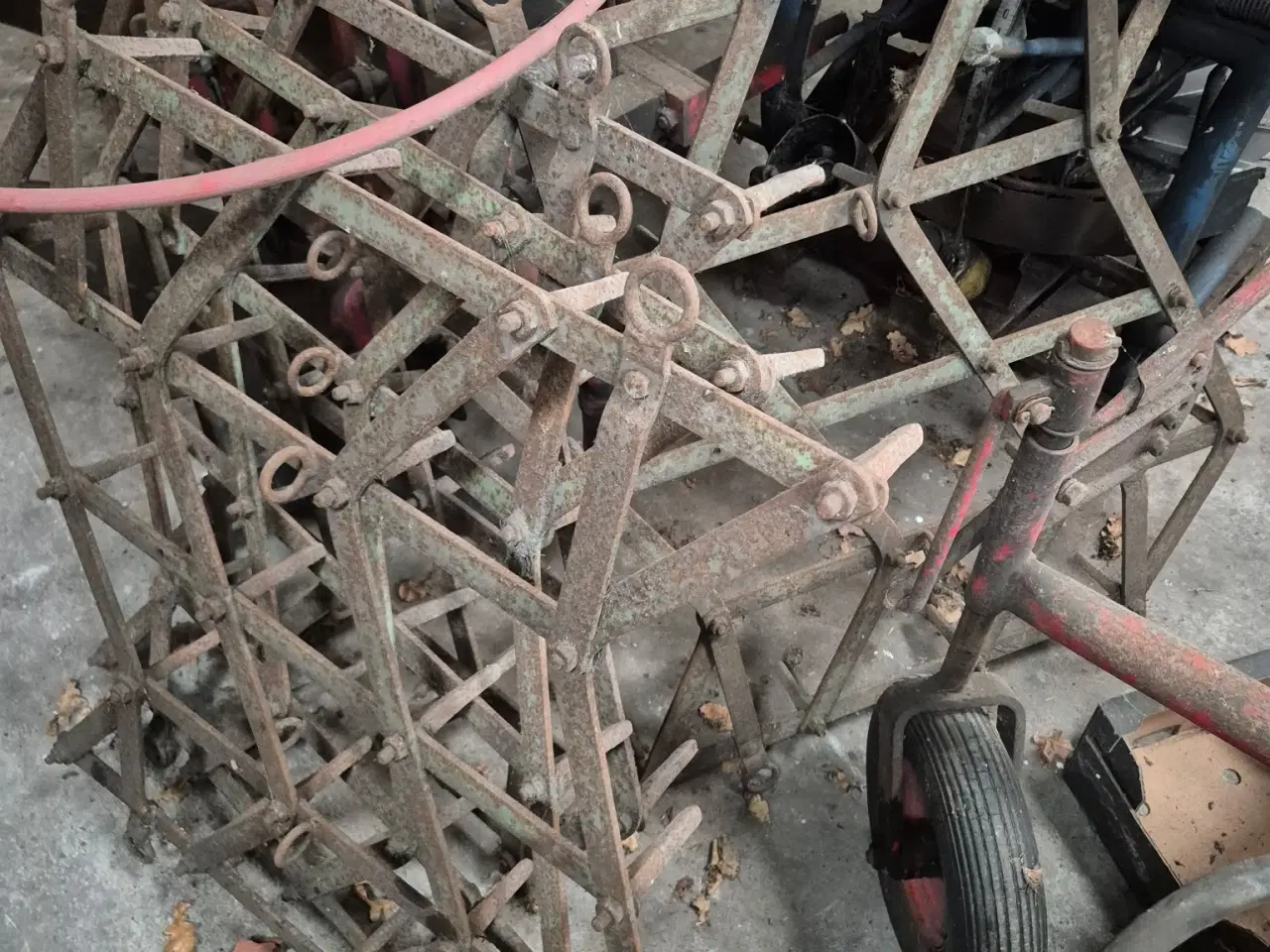 Billede 1 - 4 ledet spidstands havre