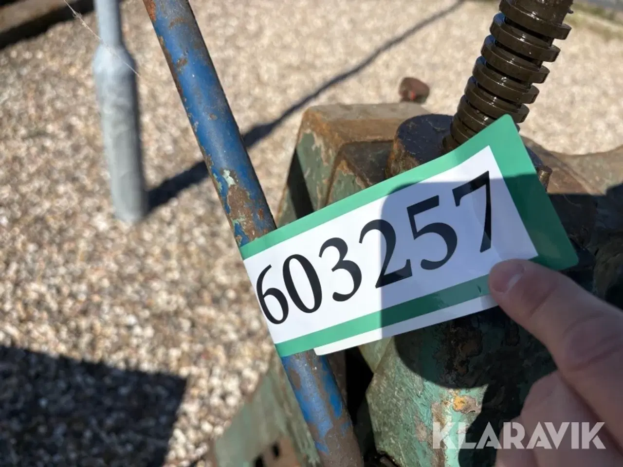 Billede 10 - Pladebukker Danbuk