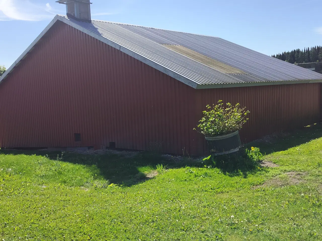 Billede 5 - Hal/sku gives væk