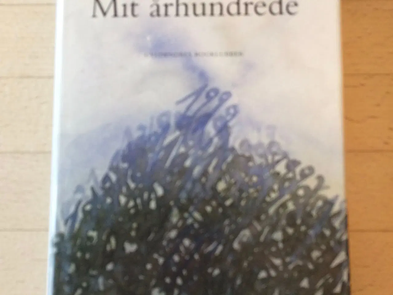 Billede 1 - Mit århundrede, Günter Grass